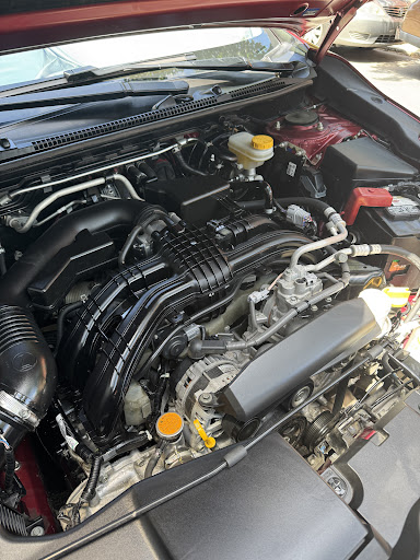 Photo from customer review