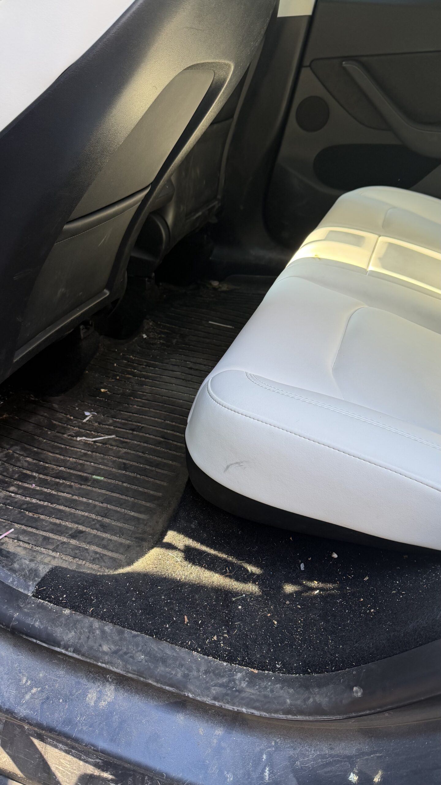 telsa interior before