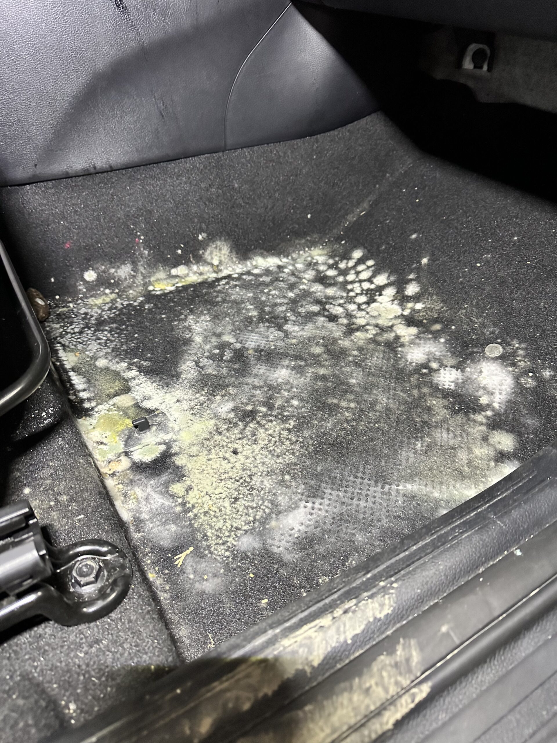 Before mold image
