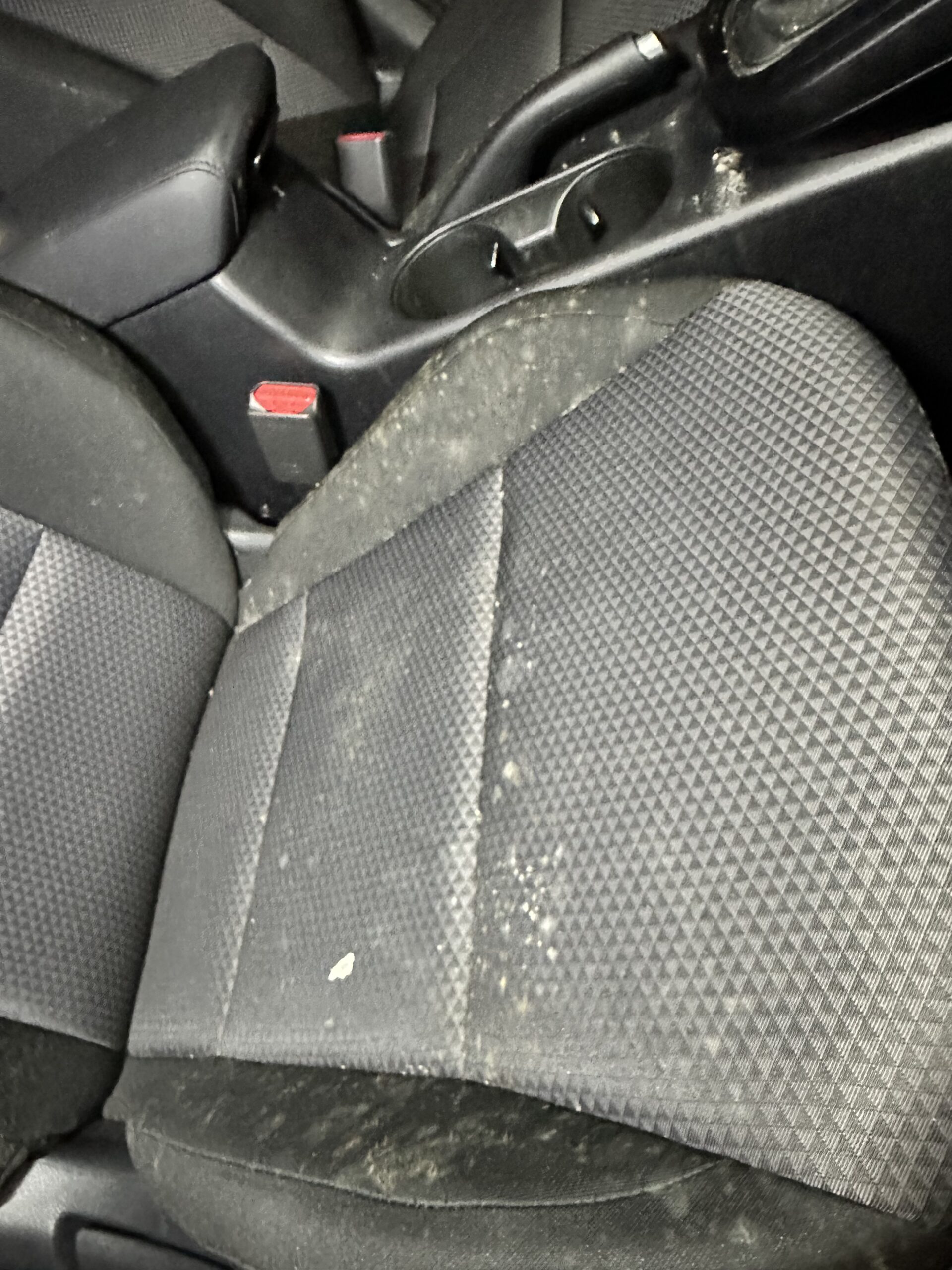 mold before image